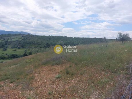 Parcel 4.902sqm for sale-Grammatiko » Katifori