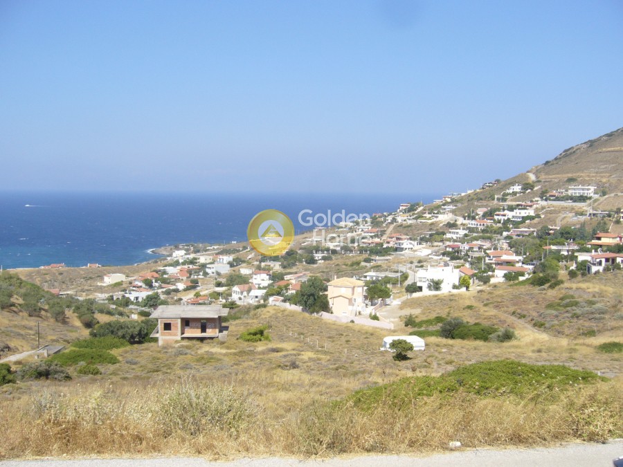 Αγροτεμάχια 8.626 τ.μ. προς πώληση, Βένιο Δασκαλειού