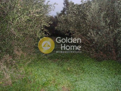 Land plot 507sqm for sale-Koropi » Kitsi