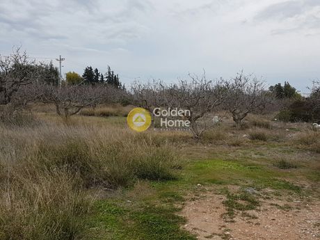 Land plot 10.000sqm for sale-Kalivia Thorikou » Lagonisi
