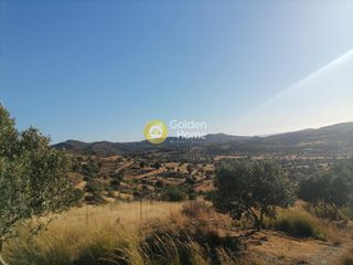 Οικόπεδο 5.359 τ.μ. προς πώληση, Σίβας-thumb-2