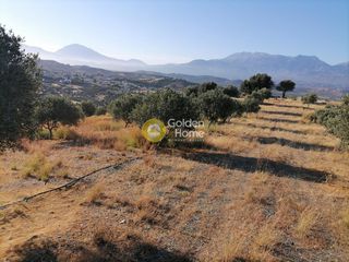 Οικόπεδο 5.359 τ.μ. προς πώληση, Σίβας-thumb-9