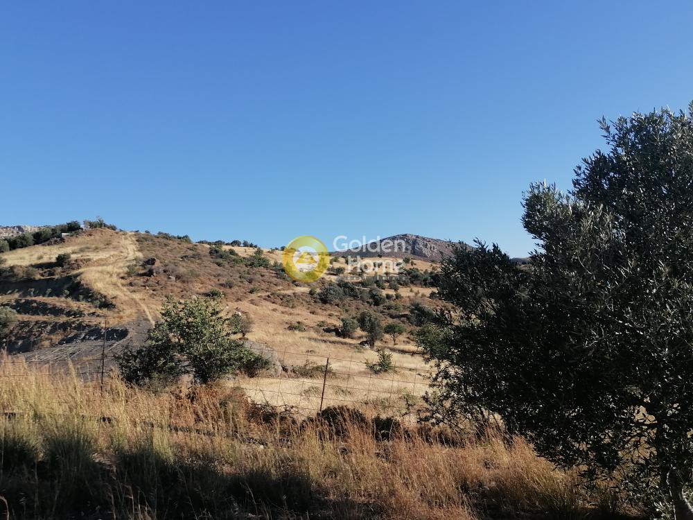 Οικόπεδο 5.359 τ.μ. προς πώληση, Σίβας