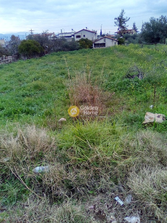 Οικόπεδο 612 τ.μ. προς πώληση, Κάτω Αλμυρή