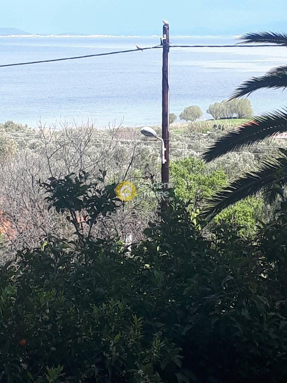 Οικόπεδο 4.833 τ.μ. προς πώληση, Νησέλια