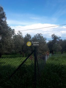 Οικόπεδο 4.833τ.μ. για πώληση-Λέσβος - μυτιλήνη » Νησέλια