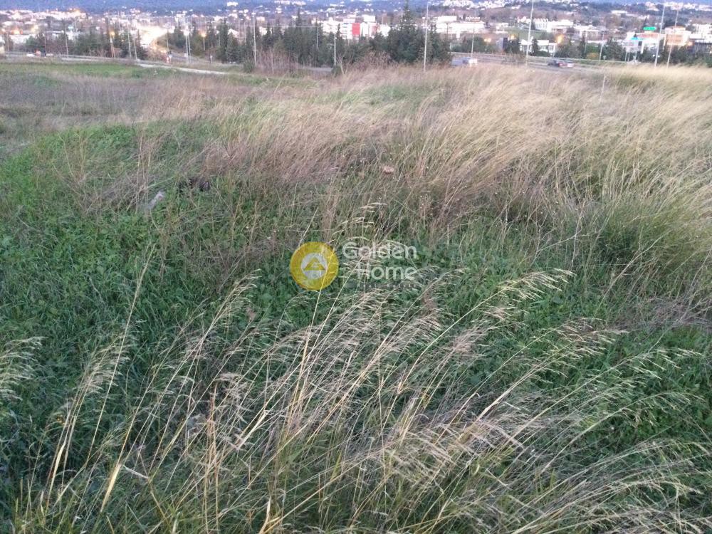 Αγροτεμάχια 15.800 τ.μ. πρός πώληση, Θεσσαλονίκη - Περιφ/Κοί Δήμοι, Καλαμαριά