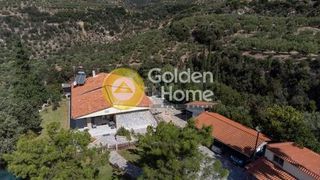 Κτίριο 140 τ.μ. για πώληση, Μεσσηνία, Θουρία-thumb-13