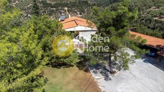 Κτίριο 140 τ.μ. για πώληση, Μεσσηνία, Θουρία-thumb-14