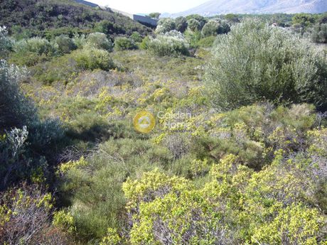 Αγροτεμάχια 4.700τ.μ. για πώληση-Κερατέα » Δημολάκι