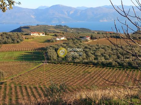 Αγροτεμάχια 12.000τ.μ. για πώληση-Αιγιάλεια » Τούμπα