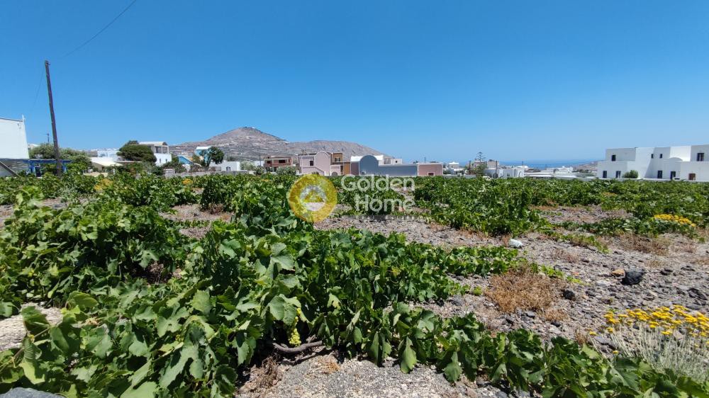 Οικόπεδο 540 τ.μ. προς πώληση, Θήρα