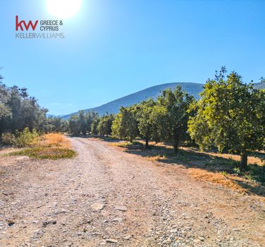 Parcel 22.000sqm for sale-Lerna