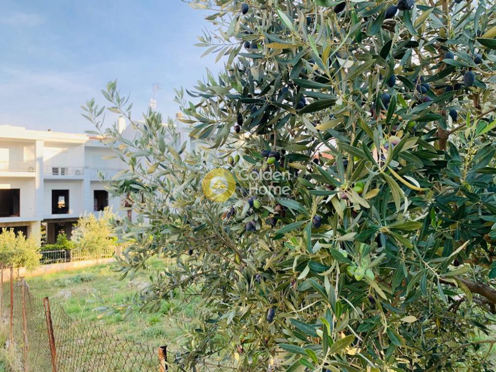Οικόπεδο 516 τ.μ. προς πώληση, Κέντρο Λαμίας