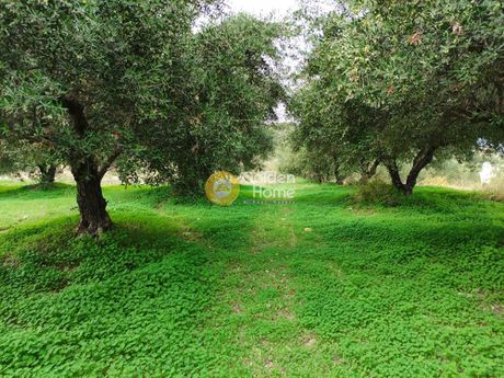 Land plot 4.500sqm for sale-Archanes » Kato Archanes