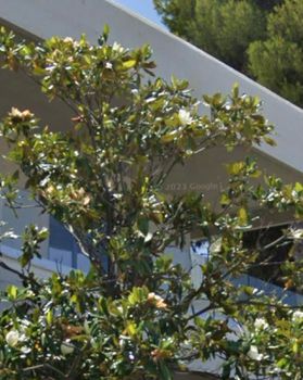 Μονοκατοικία 160τ.μ. για πώληση-Καλύβια θορικού » Λαγονήσι
