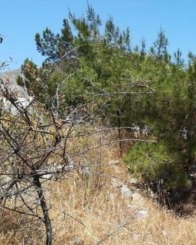 Οικόπεδο 18.700τ.μ. για πώληση-Σαντορίνη » Θήρα