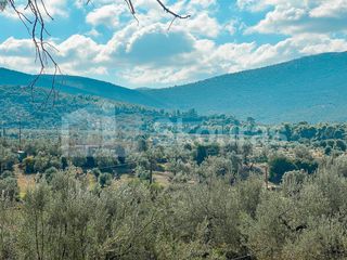 Μονοκατοικία 95 τ.μ. για πώληση, Αργολίδα, Ασκληπιείο-thumb-24
