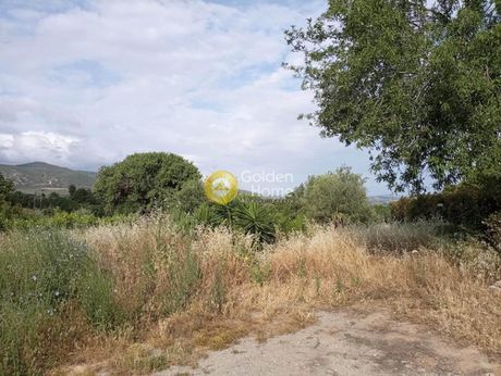 Οικόπεδο 501τ.μ. για πώληση-Ωρωπός » Νέα πολιτεία