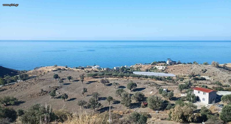 Οικόπεδο 6.001 τ.μ. πρός πώληση, Ν. Ηρακλείου, Γορτύνα