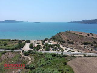Οικόπεδο 8.025 τ.μ. για πώληση, Μεσσηνία, Μεθώνη-thumb-13