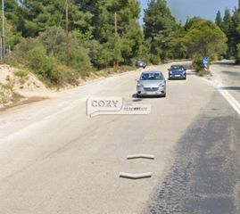 Αγροτεμάχια 4.000 τ.μ. για πώληση