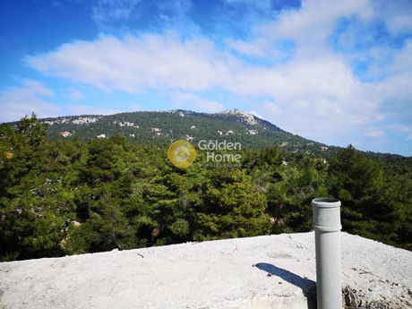 Maisonette 444sqm for sale-Afidnes » Agia Triada