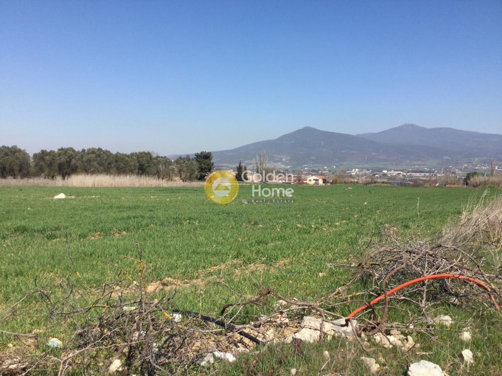 Αγροτεμάχια 7.714 τ.μ. προς πώληση, Σουρωτή