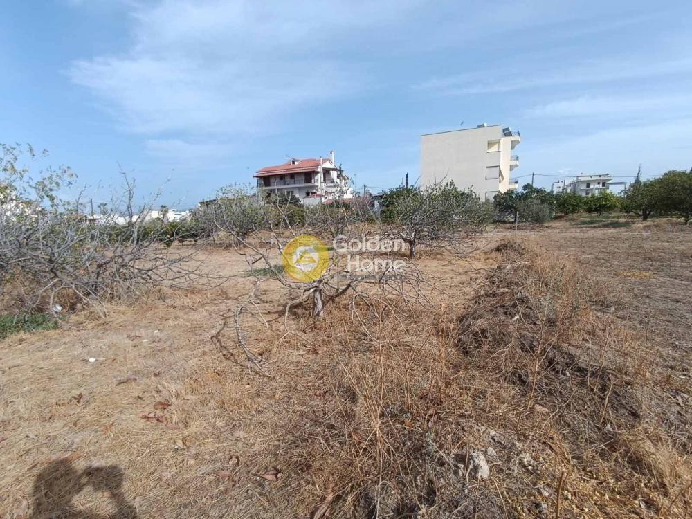 Οικόπεδο 447 τ.μ. προς πώληση, Κιάτο