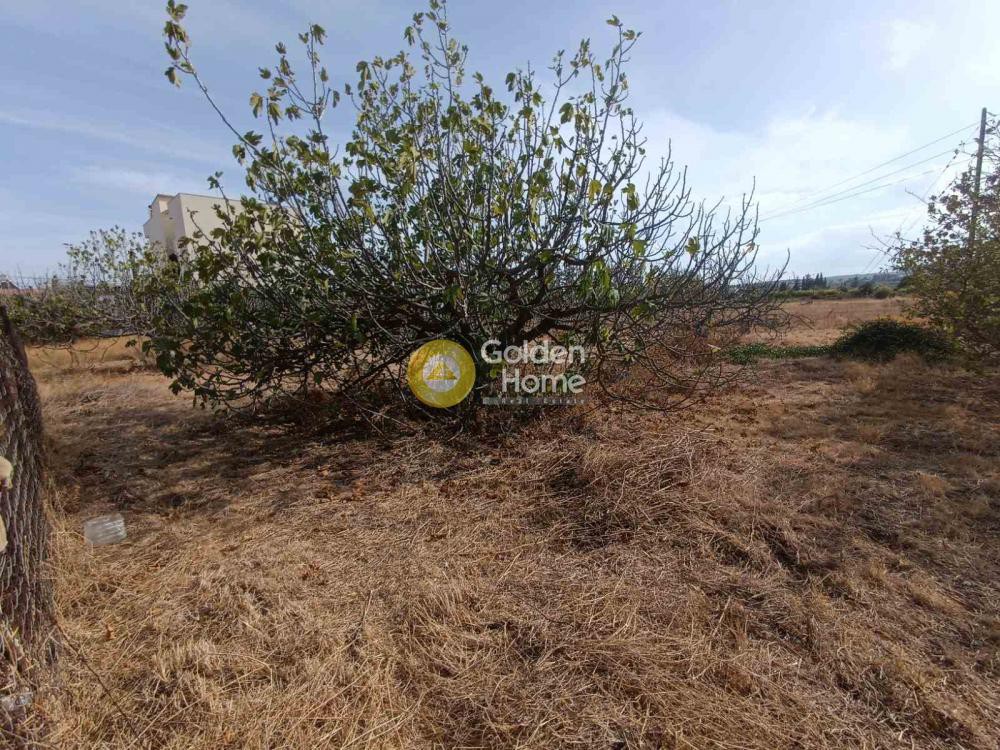Οικόπεδο 447 τ.μ. προς πώληση, Κιάτο