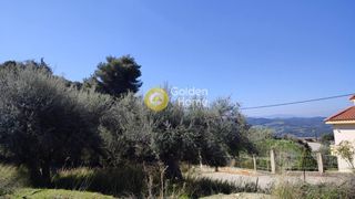 Οικόπεδο 2.200 τ.μ. προς πώληση, Καλλιθεόκαμπος-thumb-3