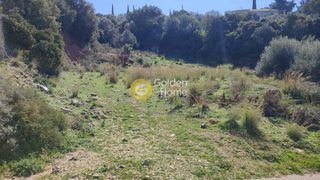 Οικόπεδο 2.200 τ.μ. προς πώληση, Καλλιθεόκαμπος-thumb-1