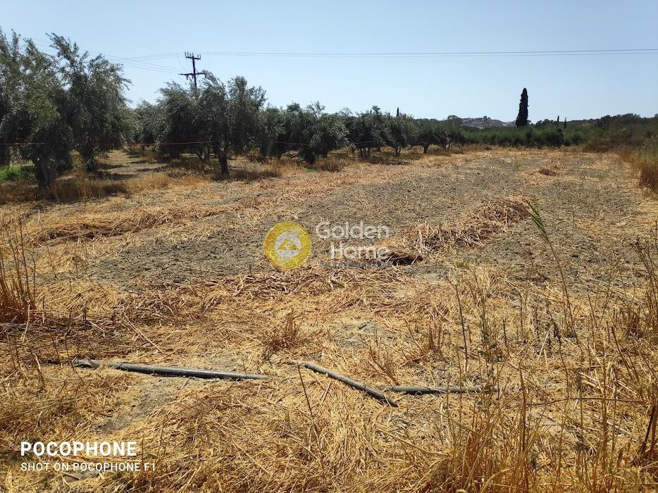 Αγροτεμάχια 809 τ.μ. προς πώληση, Άγιος Ιωάννης Τυμπακίου