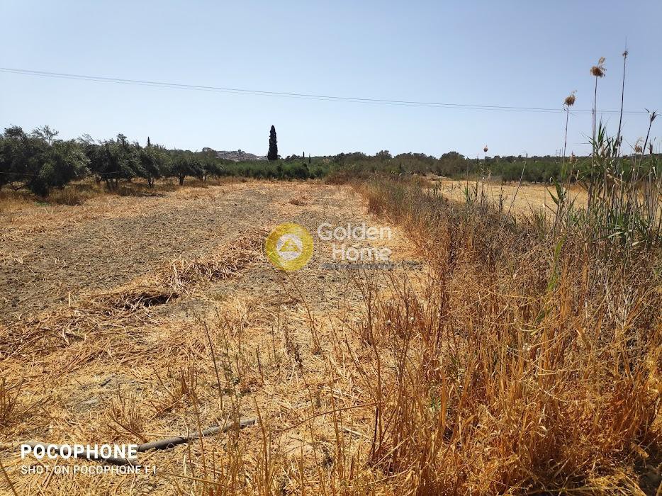 Αγροτεμάχια 809 τ.μ. προς πώληση, Άγιος Ιωάννης Τυμπακίου