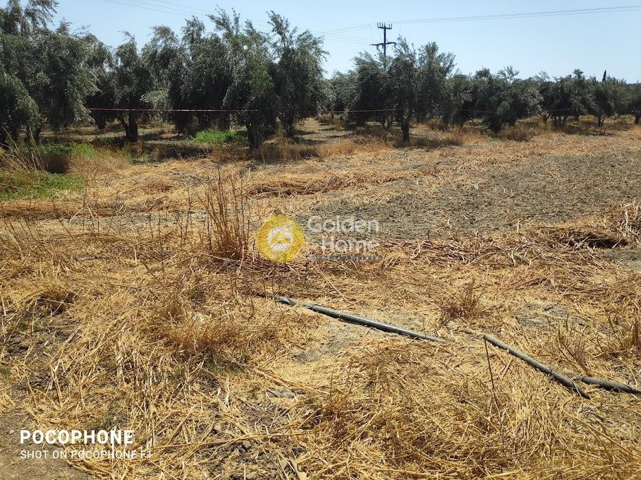 Αγροτεμάχια 809 τ.μ. προς πώληση, Άγιος Ιωάννης Τυμπακίου