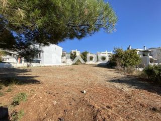 Οικόπεδο 1.008 τ.μ. για πώληση