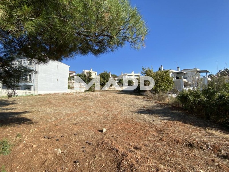 Οικόπεδο 1.008 τ.μ. πρός πώληση, Θεσσαλονίκη - Περιφ/Κοί Δήμοι, Πανόραμα