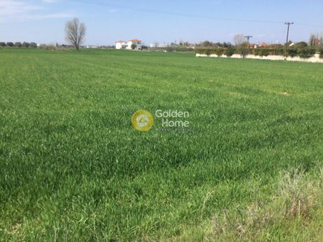 Αγροτεμάχια 13.581τ.μ. για πώληση-Θέρμη » Αγία παρασκευή