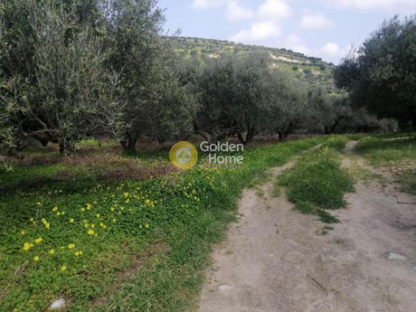 Αγροτεμάχια 3.000τ.μ. για πώληση-Ηράκλειο κρήτης » Σκαλάνι