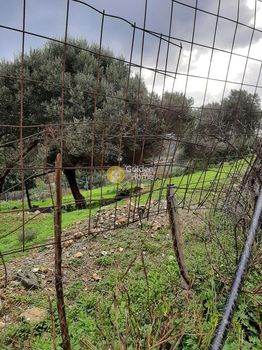 Οικόπεδο 1.087τ.μ. για πώληση-Γάζι » Ροδιά