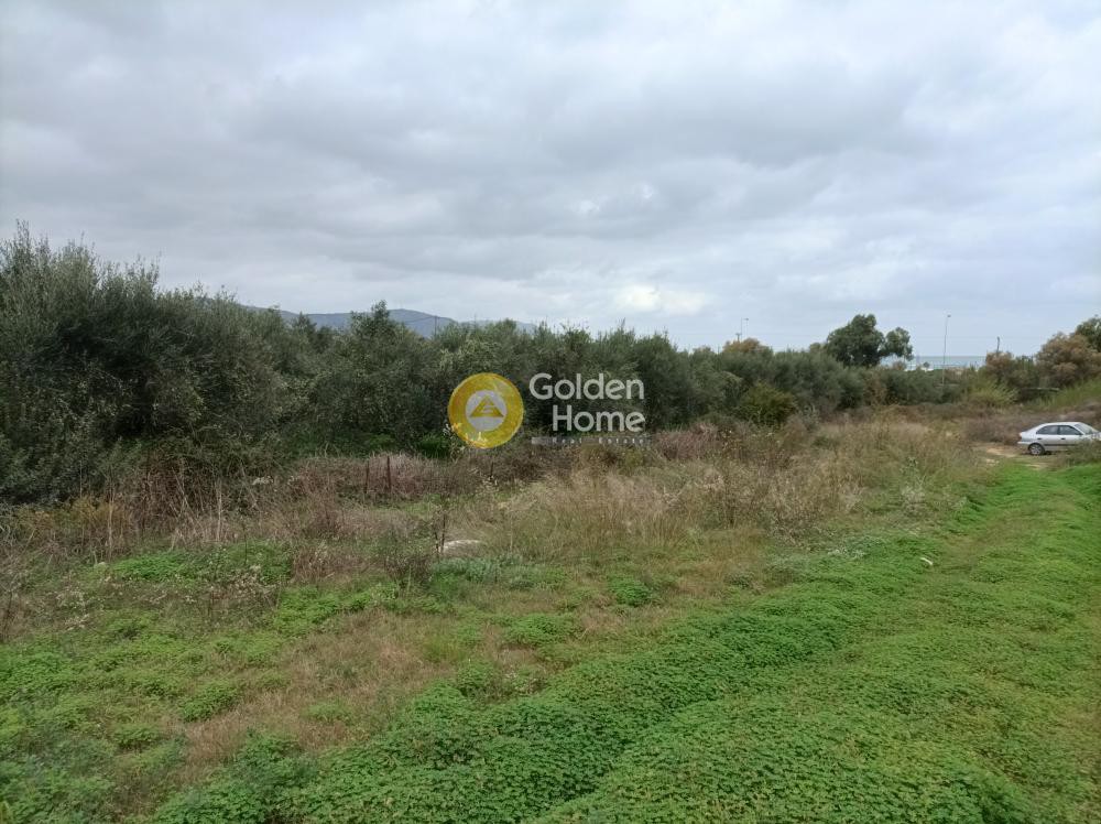 Οικόπεδο 11.810 τ.μ. προς πώληση, Ασπρουλιάνοι
