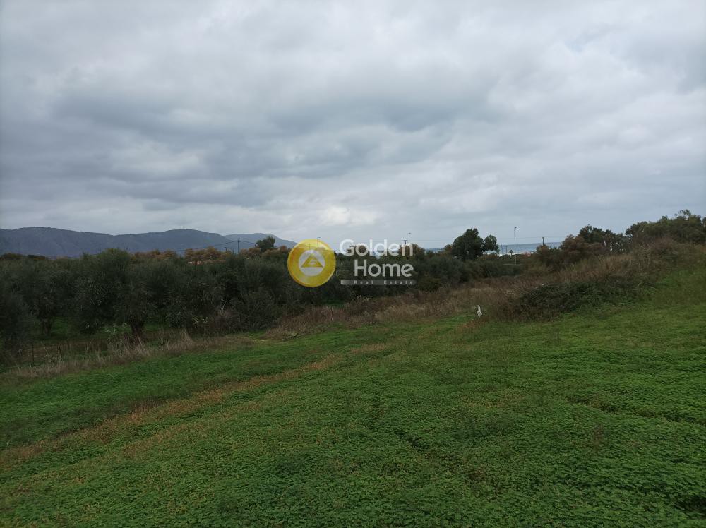 Οικόπεδο 11.810 τ.μ. προς πώληση, Ασπρουλιάνοι