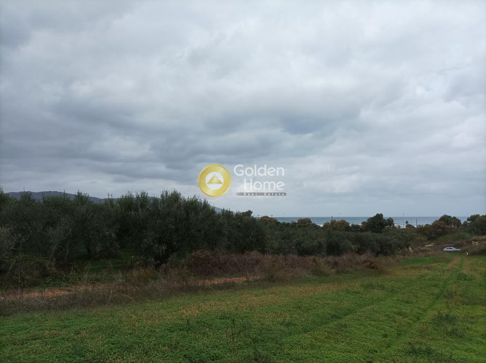 Οικόπεδο 11.810 τ.μ. προς πώληση, Ασπρουλιάνοι