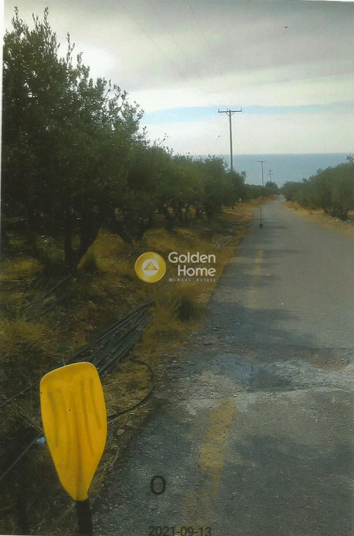 Οικόπεδο 731 τ.μ. προς πώληση, Λιβαδιά Ινναχωρίου