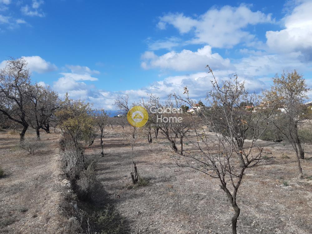 Οικόπεδο 2.012 τ.μ. προς πώληση, Κυψέλη Αίγινας