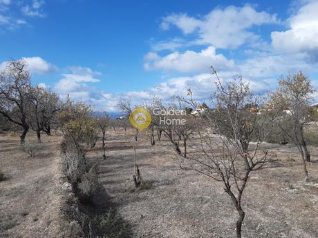 Οικόπεδο 2.012τ.μ. για πώληση-Αίγινα » Κυψέλη