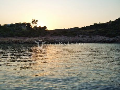 Οικόπεδο 40.000τ.μ. για πώληση-Τολοφώνα » Τριζόνια