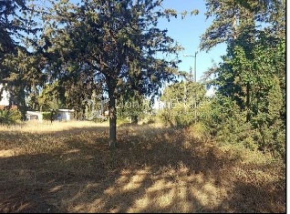 Land plot 5.500 sqm for sale, Athens - North, Anoixi