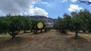 Οικόπεδο 3.900 τ.μ. πρός πώληση, Ν. Ηρακλείου, Ηράκλειο Κρήτης-thumb-5