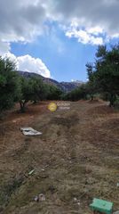 Οικόπεδο 3.900 τ.μ. πρός πώληση, Ν. Ηρακλείου, Ηράκλειο Κρήτης-thumb-4